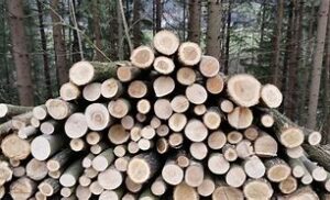 Vente de Bois