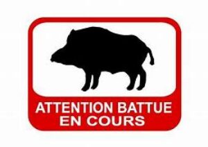 DATES BATTUES DE CHASSE